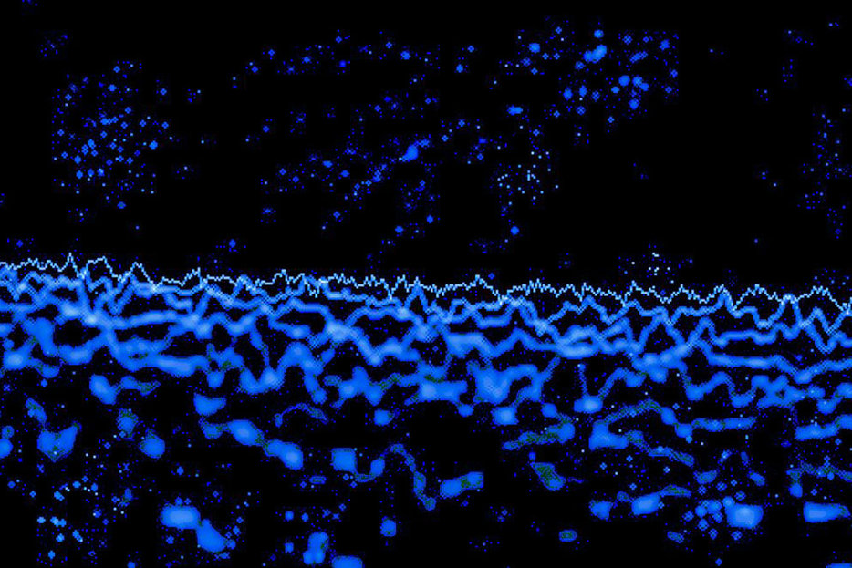 ||Radio signals analyzed for extraterrestrial life by SETI volunteers