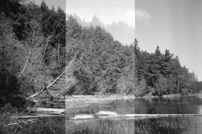 A black and white step-wedge image of Algonquin Park