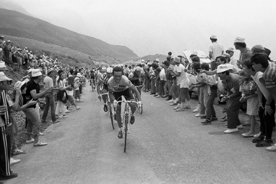 ||Bernard Hinault