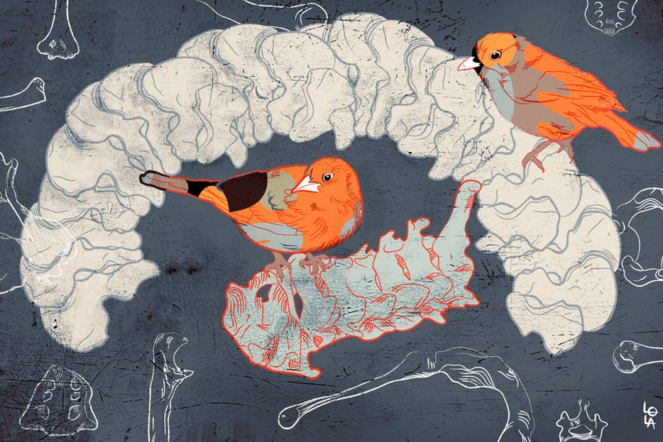 || Illustration by Lola Landekic