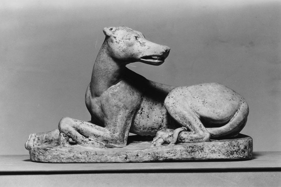 Roman Dog via Wikimedia