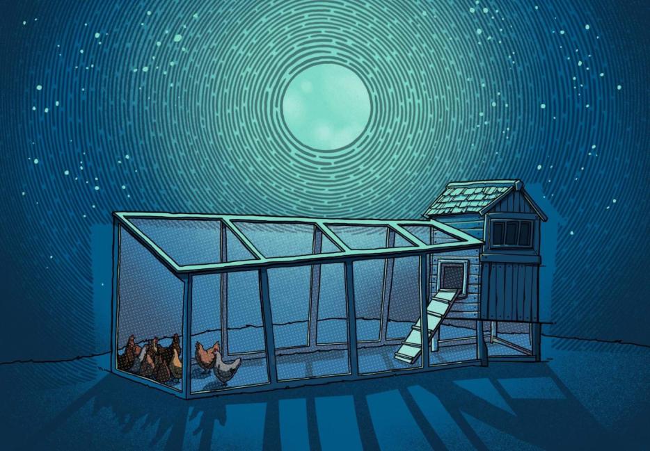 A chicken coop depicted in the moonlight