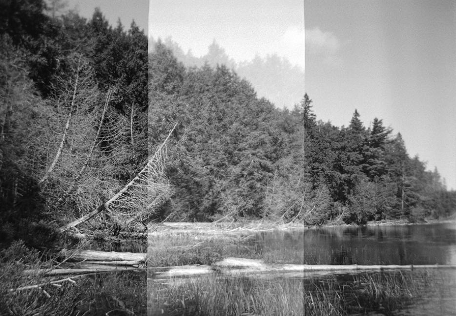 A black and white step-wedge image of Algonquin Park
