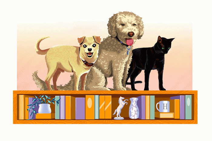 An image of a small blonde chihuahua-terrier, a medium doodle, and a black cat standing on a bookshelf