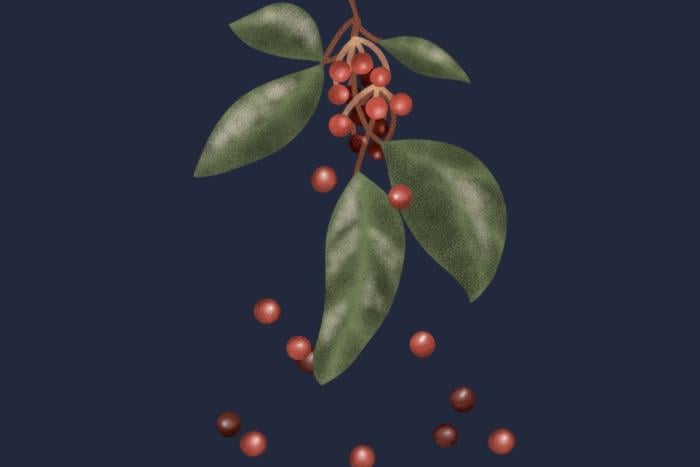 Berries dropping from a leafed branch 