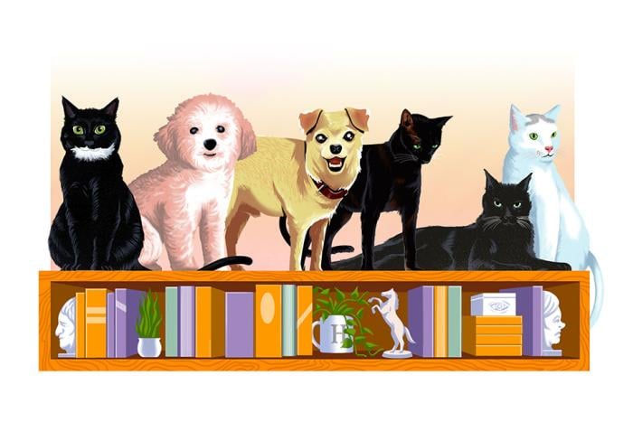 The pets of Hazlitt 