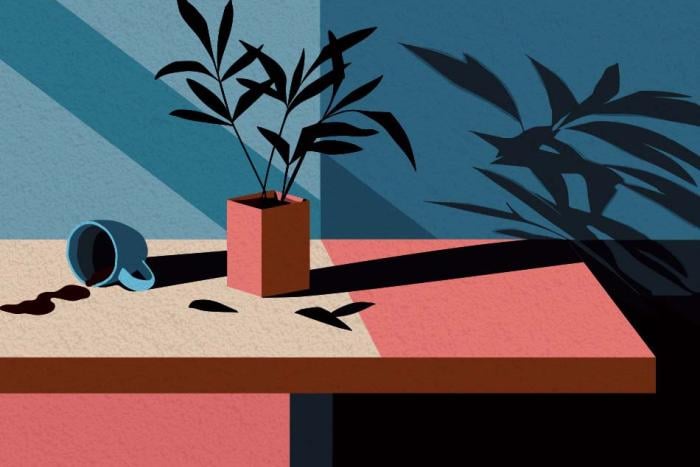 An image of a spilled coffee cup on a table, next to a green leafy plant whose shadow appears on the wall behind. 