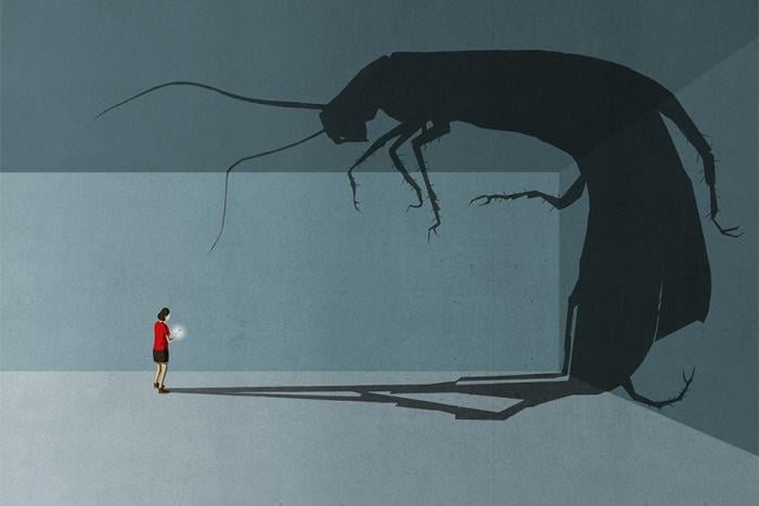 The shadow of a bug looms large over a human figure 