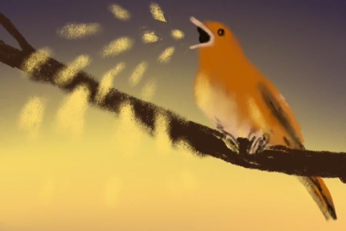 a nightingale sits on a branch singing